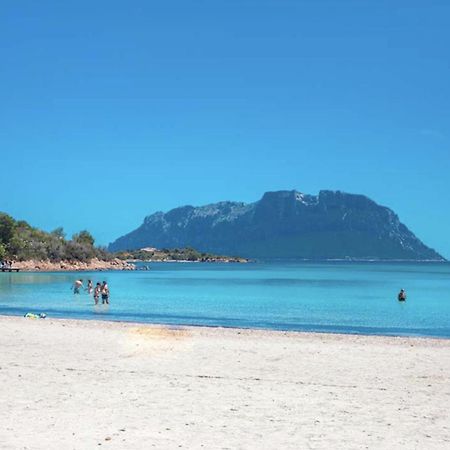 Appartamento Mare Olbia - Murta Maria エクステリア 写真