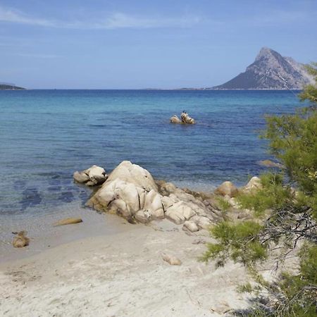 Appartamento Mare Olbia - Murta Maria エクステリア 写真